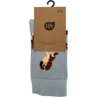 Life Calzini in cotone Cocker Spaniel blu, taglia 35-38