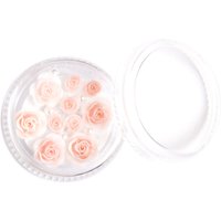 Hi Hybrid Decorazioni per unghie 3D 903 Rose Garden