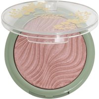 Glam Shop Fiori di Felce Blush Cotto Miti