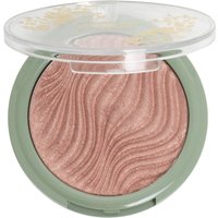 Glam Shop Fiori di Felce Blush Cotto Magico