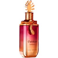 Paris Corner Ophidian Black Cherry Acqua di profumo unisex