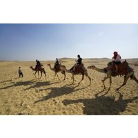 Sunrise/Sunset Camel Ride around pyramids