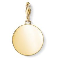 🦚 Coin Charm aus vergoldetem Sterlingsilber 🦚 Coin Charm aus vergoldetem Sterlingsilber