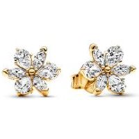 🦚 Damen Ohrstecker Moments Herbarium Cluster, vergoldet 🦚 Damen Ohrstecker Moments Herbarium Cluster, vergoldet