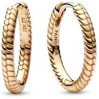 🦚 Moments Damen Creolen im Schlangendesign, vergoldet 🦚 Moments Damen Creolen im Schlangendesign, vergoldet