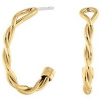 🦚 Damen Steckcreolen aus Edelstahl, IP Gold 🦚 Damen Steckcreolen aus Edelstahl, IP Gold