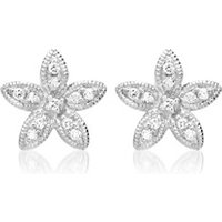 🦚 Ohrringe 750er Weißgold 22 Diamanten 0,12 ct. 🦚 Ohrringe 750er Weißgold 22 Diamanten 0,12 ct.