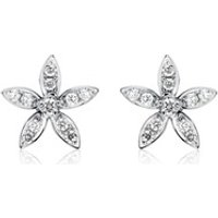 🦚 Ohrstecker Blüten aus 585er Weißgold mit Diamanten 🦚 Ohrstecker Blüten aus 585er Weißgold mit Diamanten