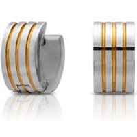 🦚 Vergoldete Creolen aus Edelstahl Klappverschluss 🦚 Vergoldete Creolen aus Edelstahl Klappverschluss