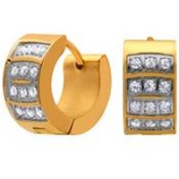 🦚 Edelstahlcreolen Vergoldet Zirkonia 🦚 Edelstahlcreolen Vergoldet Zirkonia