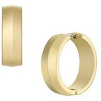 🦚 Creolen für Damen aus vergoldetem Edelstahl 🦚 Creolen für Damen aus vergoldetem Edelstahl