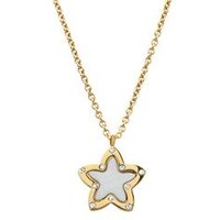 🦚 Kette Edelstahl Sternanhänger Zirkonia 🦚 Kette Edelstahl Sternanhänger Zirkonia