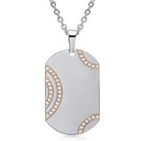 🦚 Ankerkette Edelstahl mit Dog-Tag Anhänger 🦚 Ankerkette Edelstahl mit Dog-Tag Anhänger