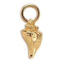 🦚 Charm Sea Shell aus vergoldetem Ocean Steel 🦚 Charm Sea Shell aus vergoldetem Ocean Steel