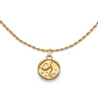 🦚 Gravurkette Sternzeichen Wassermann aus Edelstahl, gold 🦚 Gravurkette Sternzeichen Wassermann aus Edelstahl, gold