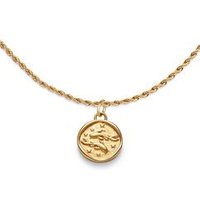 🦚 Gravurkette Sternzeichen Fische aus Edelstahl, IP Gold 🦚 Gravurkette Sternzeichen Fische aus Edelstahl, IP Gold