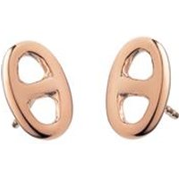 🦚 Damen Ohrstecker Anchor Chain aus Edelstahl, rosé 🦚 Damen Ohrstecker Anchor Chain aus Edelstahl, rosé