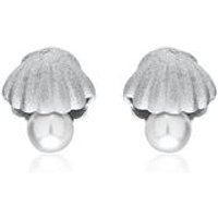 🦚 925er Silber Ohrstecker Muscheln mit Perlen 🦚 925er Silber Ohrstecker Muscheln mit Perlen