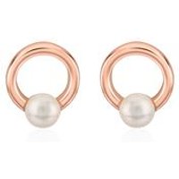 🦚 Damen Perlenohrstecker aus 925er Silber, rosévergoldet 🦚 Damen Perlenohrstecker aus 925er Silber, rosévergoldet