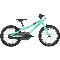 Tweeks Cycles