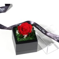 Vancaro Preserved Fresh Flower Red Rose Black Jewelry Box