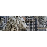 Finance and nobility in Genoa's golden age