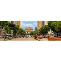 From Colonialism to Democracy: A Rio de Janeiro Tour with Context
