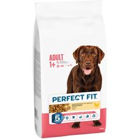 6kg Adult > 10kg PERFECT FIT - Croquettes pour chien