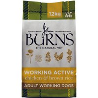 Burns Working Active - Chicken & Rice - Economy Pack: 2 x 12kg