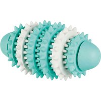Trixie Denta Fun Rugby - L 15 cm
