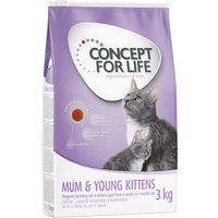 Concept for Life Mum & Young Kittens - Verbeterde receptuur! - 3 kg