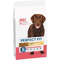 PERFECT FIT Adult > 10 kg pour chien - 2 x 11,5 kg