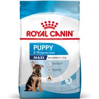 15kg Royal Canin Maxi Puppy - Croquettes pour chiot