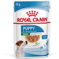 Royal Canin Mini Puppy i sås - Ekonomipack: 24 x 85 g