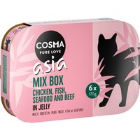 Lot Cosma Asia en gelée 24 x 170 g pour chat - lot 5 saveurs