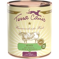Terra Canis 12 x 800 g umido cane - Manzo con Carota, Mela e Riso integrale