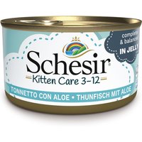 Schesir Kitten i gelé - Tonfisk med Aloe 6 x 85 g