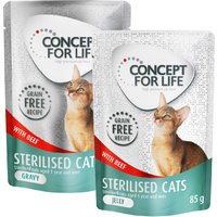 Lot mixte Concept for Life en gelée et en sauce sans céréales 24 x 85 g pour chat - Sterilised Cats bœuf en sauce et en gelée