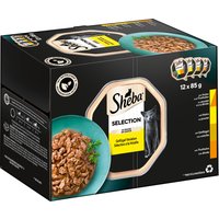 Sheba Varieties 12 x 85 g portionsform - Selection in Sauce (kyckling & kalkon; kyckling; fjäderfä; kalkon)