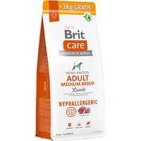 12kg Medium Breed agneau, riz Hypoallergenic Adult Brit Care Croquettes pour chien + 2kg offerts !
