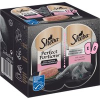 Sheba Perfect Portions 48 x 37,5 g pour chat - Terrine de luxe - saumon