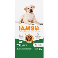 IAMS Advanced Nutrition Adult Large agneau pour chien - 12 kg
