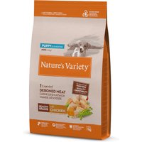Nature's Variety torrfoder + Original Paté No Grain våtfoderblandning på köpet! - 7 kg Healthy Grains Puppy Mini kyckling + 4 x 150 g Mini
