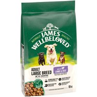 James Wellbeloved Adult Large Breed Hypoallergenic agneau, riz pour chien - 2 x 10 kg