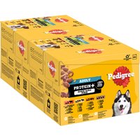 Pedigree Adult Protein Plus i gelé i portionspåse - 12 x 85 g (4 sorter)