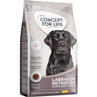Concept for Life Labrador Retriever Adult - Nieuw Receptuur: Voordeelpakket: 4 x 1,5 kg