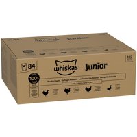 Jumbopack: Whiskas Junior portionspåsar 84 x 85 g - Fjäderfäurval i gelé