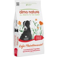 Almo Nature Holistic Adult Medium Nötkött & ris - 12 kg