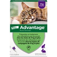 6 pipettes Ad-vantage 80 pour chat et lapin de plus de 4 kg