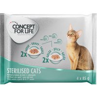 4x85g Sterilised Concept for Life - Pâtée pour chat